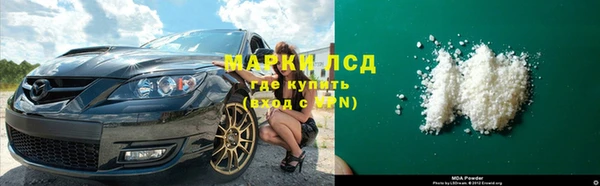 стаф Апатиты