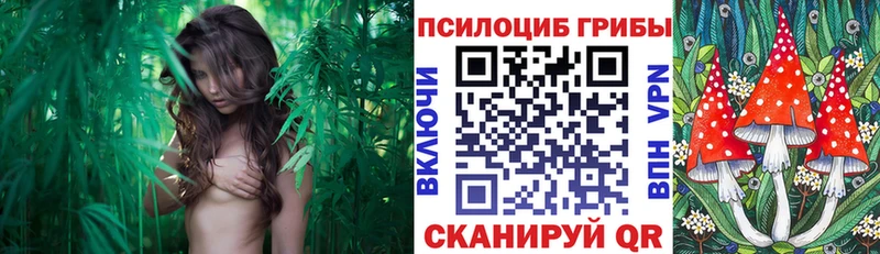 Галлюциногенные грибы мицелий  Георгиевск 