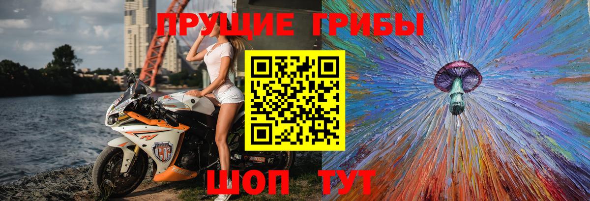 Галлюциногенные грибы MAGIC MUSHROOMS Георгиевск