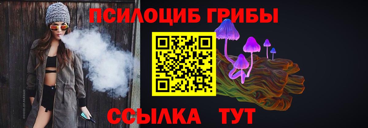 Георгиевск  Псилоцибиновые грибы GOLDEN TEACHER  Вход с VPN 